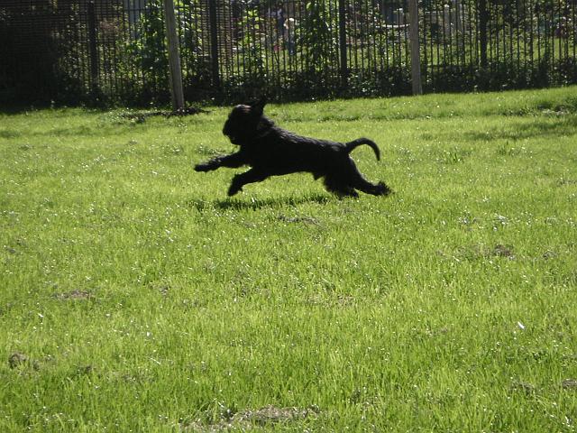 Bild 4171.jpg